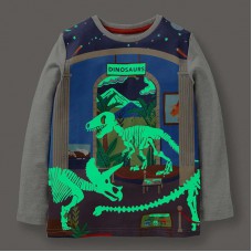 【18M-7Y】Boys Dinosaur Luminous Pattern Print Long Sleeve T-shirt - 4114