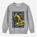 【12M-9Y】Boy Cotton Stain Resistant Excavator Print Long Sleeve Sweatshirt